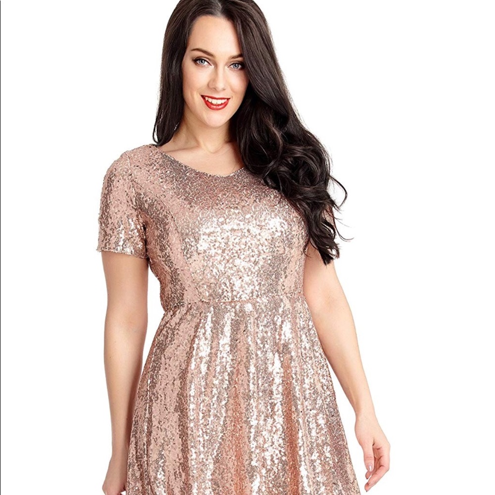 NWT Rose Gold Dress